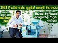 Latest coconut oil expeller extraction machine sri lanka   