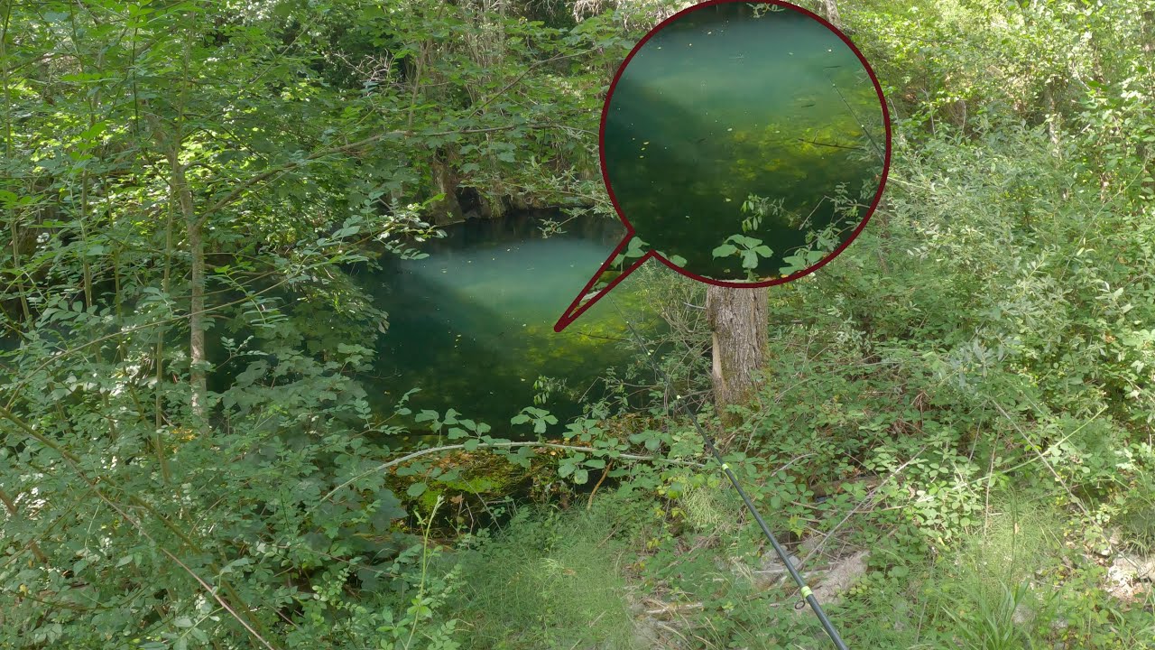 ¡Nunca me imagine ver esta cantidad de peces aquí!!!