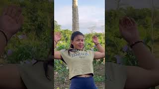 De Paseo En La Finca