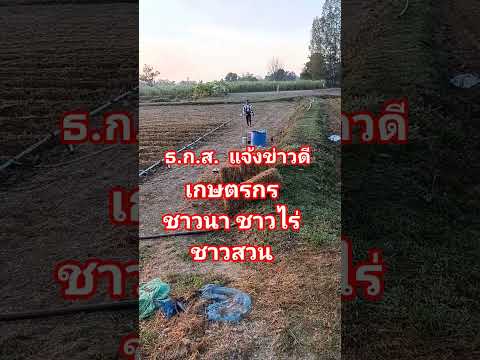 Government Welfare Program Withithrrm 29 12 68 