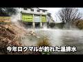 【温排水巡り】関西屈指の大人気温排水ポイントを徹底調査してみたら完全に魚の楽園だった【大和川温排水】