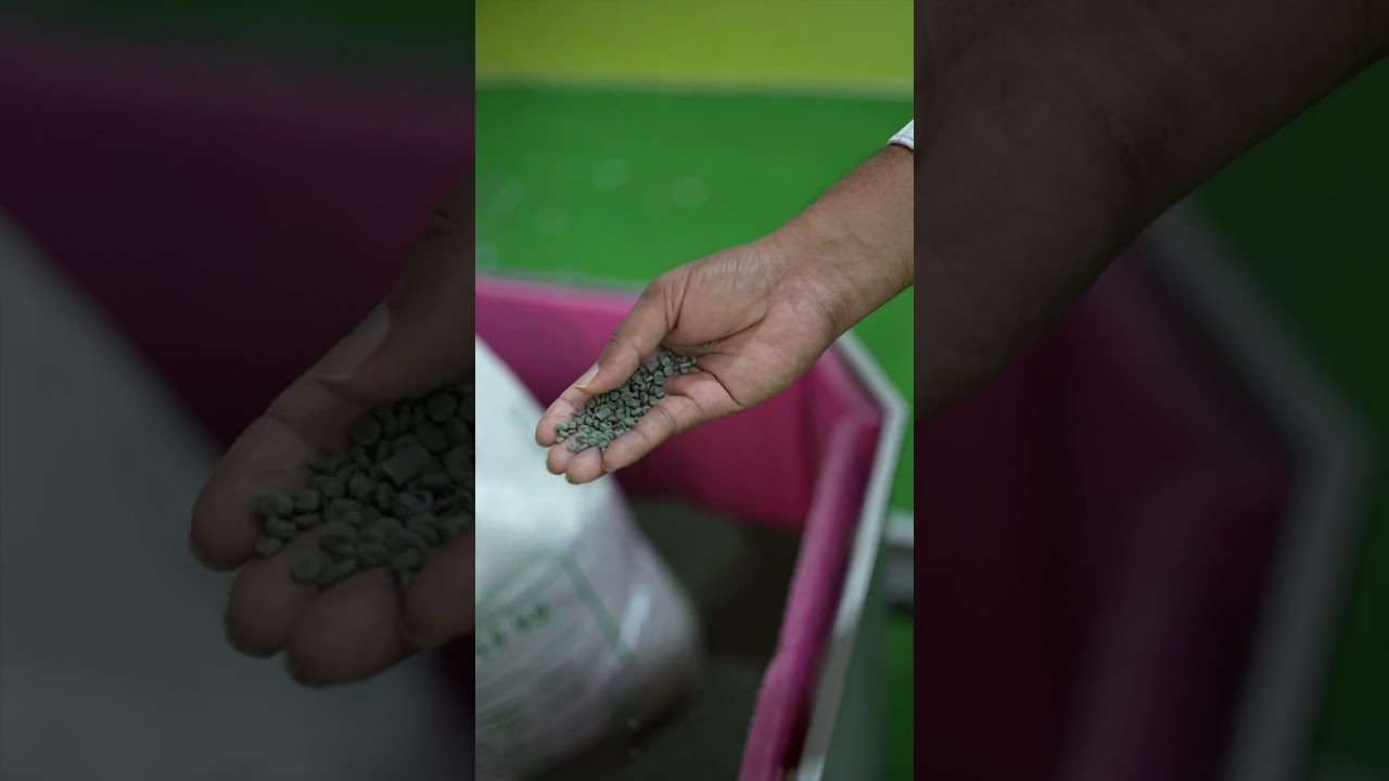 UFlex’s Packaging Films and Engineering Business at GCPRS 2025, New Delhi