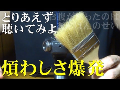 ASMR | 刷毛でブラッシング | Mic Brushing | DR-05