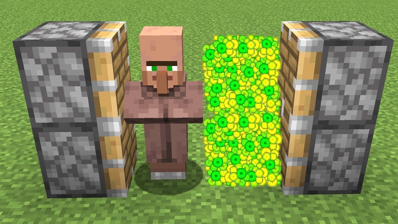 villager + xp = ??? - YouTube