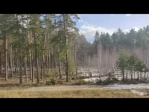 Вид из окна поезда на российские пейзажи. Почувствуй себя пассажиром. #Железнодорожное Второй экран