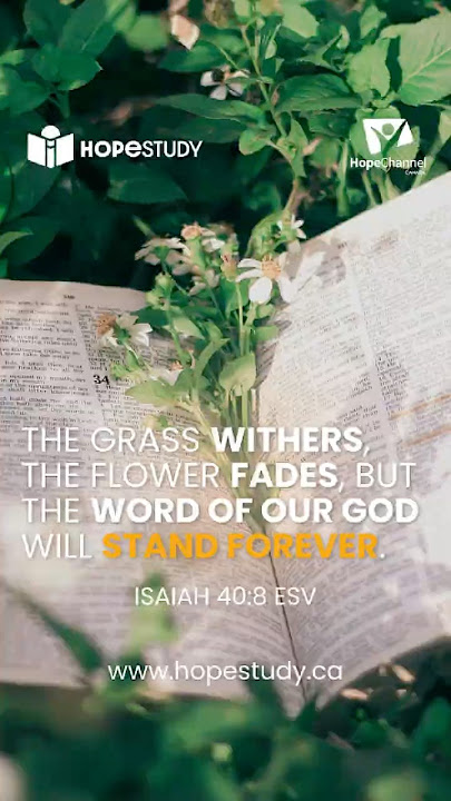 When everything else fades, One Thing doesn’t.