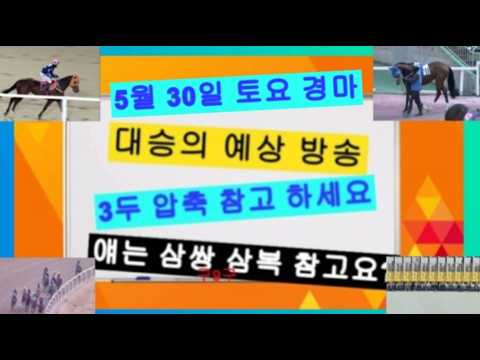 재밌는 말 토요 삼복 과 삼쌍 다시한번 확인요?