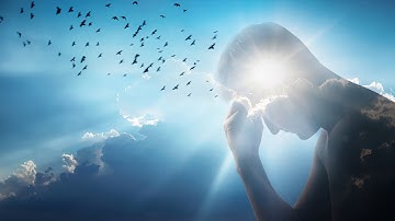 The Counter-Intuitive Nature Of Life