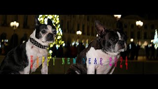 Happy New Year 2024 by Neotuxedo LEE 155 views 4 months ago 52 seconds
