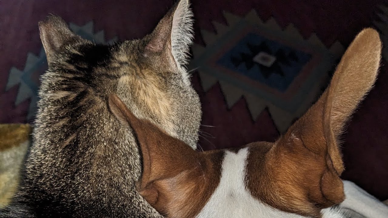 Wrestling with a BIG decision?