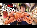 【驚愕】市場のプロが教える美味しい!安い!カニの見分け方(ズワイガニ/ 毛ガニ/香箱ガニ/タラバガニ)