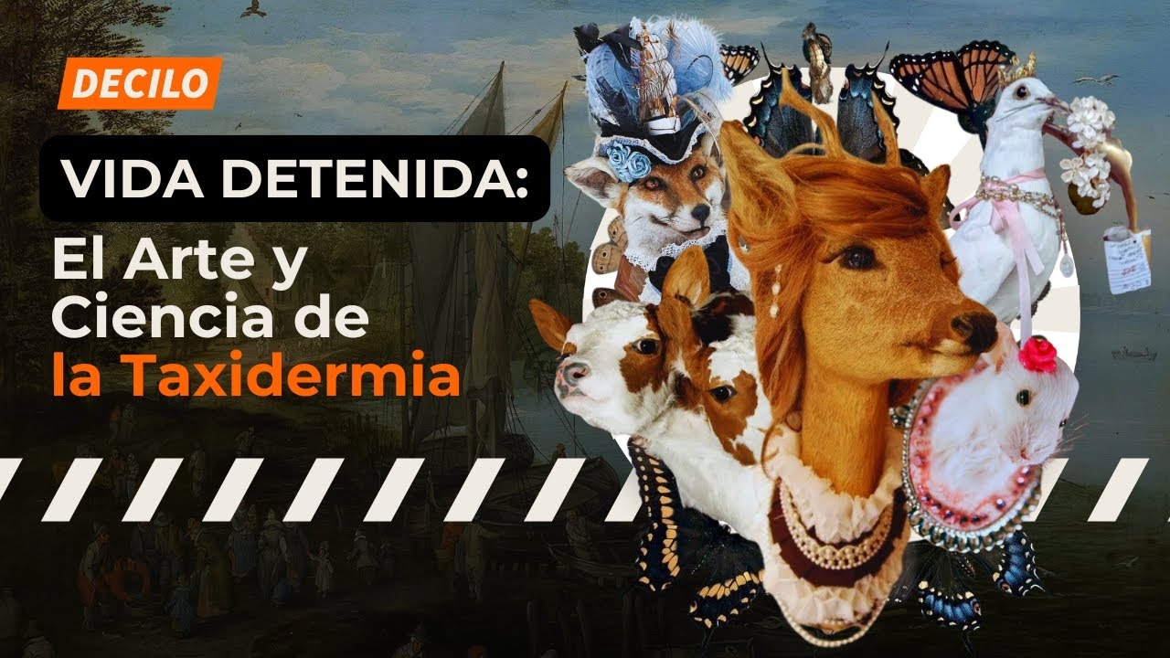 Vida detenida: el arte y ciencia de la taxidermia