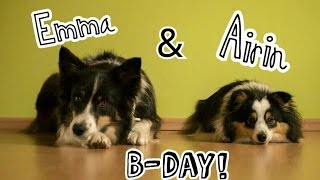 Airin (1 year) & Emma (5 years) | Birthday party! by Terka Šubrtová 500 views 8 years ago 3 minutes, 4 seconds