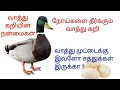 வாத்து கறியின் நன்மைகள்|நோய்களை குணப்படுத்தும் வாத்து கறி|Health benefits of duck meat & egg tamil