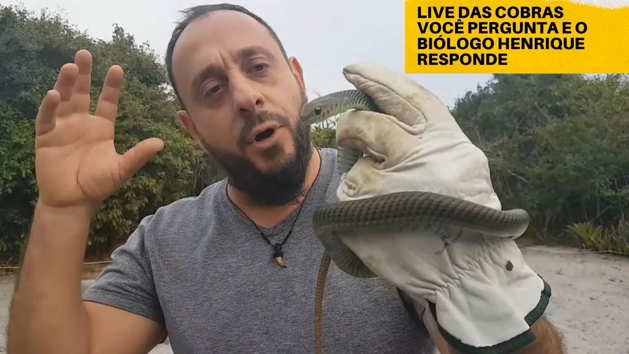 Live das Cobras, você pergunta o Biólogo Henrique Responde