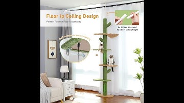Cactus Cat Tree Floor to Ceiling Cat Tower with Adjustable