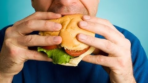 How does a high-fat diet impact the brain?