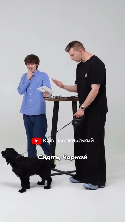 Собака знає команди! 👀 #шоу #контентукраїнською #київпасажирський # ...