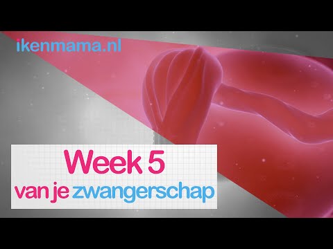 Video: Kan ek menstruasie hê tydens swangerskap?