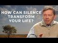 Stop Filling Your Life with Noise Embrace the Silence Within Eckhart Tolle mp3