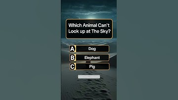 General Knowledge Quiz #ytshorts #shortsfeed #shortsbeta #generalknowledge #quiz #youtubeshorts