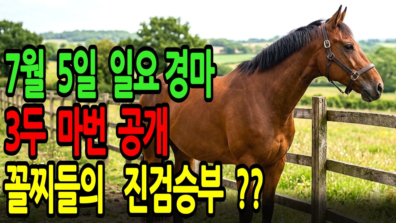 7월 5일 일요일 경마~"꼴찌라고 무시했나요?" 인생 마권은 무조건 여기에서 나옵니다ㅣ승전경마 전문가의 이변 포착 l 경마 l 경마예상 l 코리아레이스 l 검빛경마 ㅣ경마정보