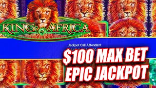 MASSIVE BONUS JACKPOT ON KING OF AFRICA BETTING $100 A SPIN! screenshot 4