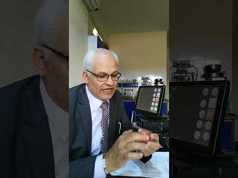 هل الطماطم اللي قلبها ابيض ضاره وبتسبب السرطان