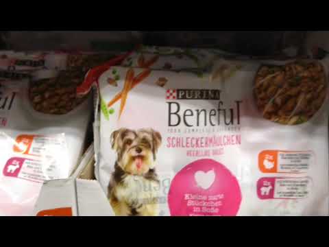 Wideo: Znaczenie Strawnych Pokarmów Dla Psów