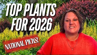 Download Lagu 2026 Proven Winners® Plants of the Year MP3