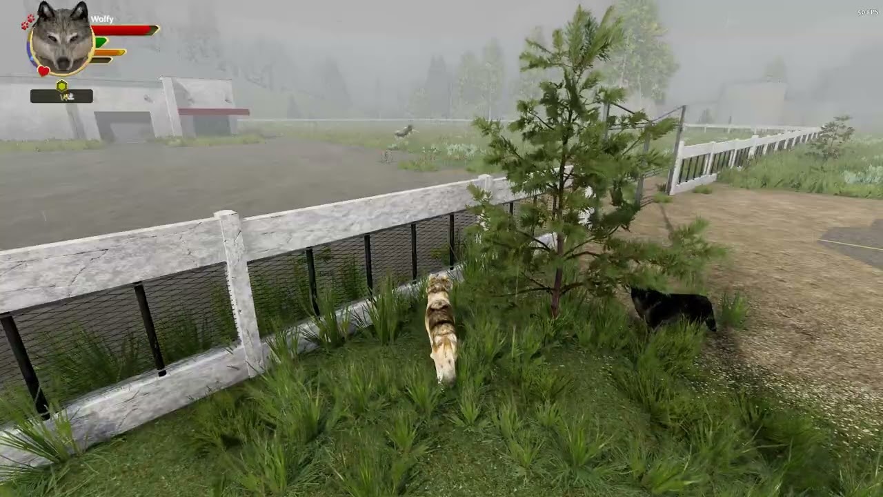 Floppy (WolfQuest : Anniversary Edition)