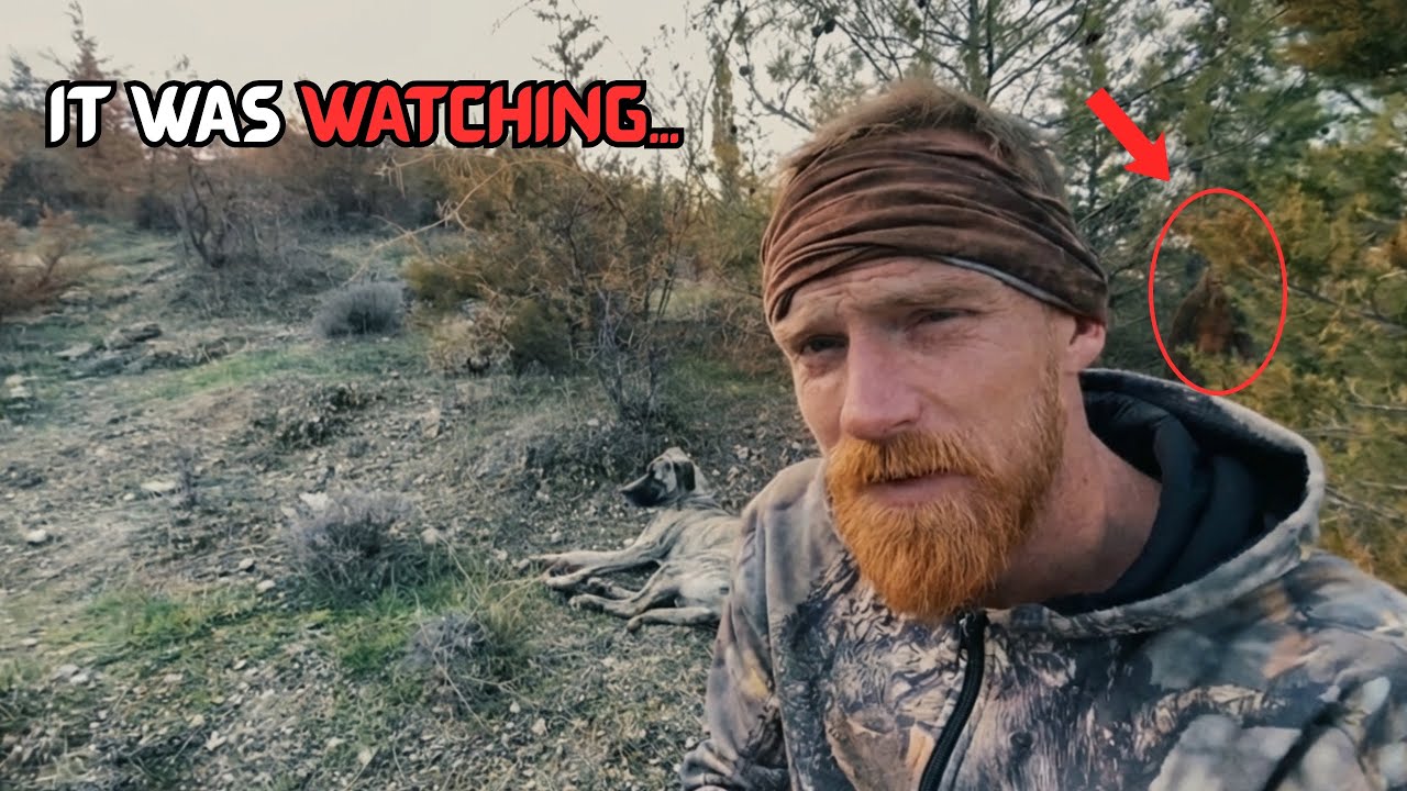 3 Real Forest Encounters That Left Campers Terrified at Night