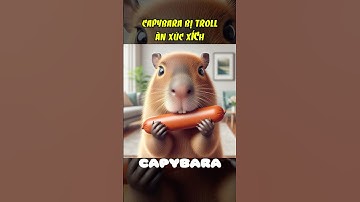 Capybara bị mèo xám troll: ăn xúc xích #capybara #cuoicungai #reviewphim #haihuoc