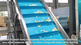 100-3000kg/h vegetables salad production line