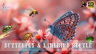 RELAXATION JOURNEY 4K  Butterfly & Ladybird #1 | Reduce stress, heal body and soul, focus energy