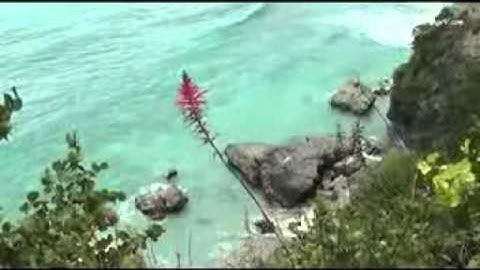 تلاوة عراقية  للشيخ شيرزاد عبدالرحمن .mpg