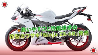 6/20更新 hiroakin 一部ご確認用 扱いやすさと性能追求の新型カワサキ「Ninja ZX-6R」発売