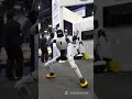 This AGIBOT Robot Can Do Martial Arts #shorts