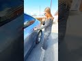 One “cool” move… turned into her biggest mistake 😳🔒#trendingshorts