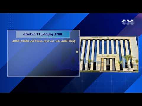 3700 وظيفة ب 11 محافظة وزارة العمل تعلن عن فرص جديدة في القطاع الخاص