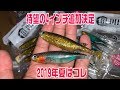 根魚釣りにおすすめワームに新色&新サイズ！ロックフィッシュに強いRUDIE'Sハタ喰い魚子！キジハタ 、アカハタ、カサゴ、夏の釣りを遊び尽くせ
