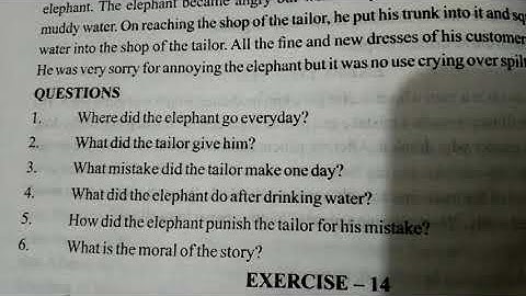 English class IX comprehension exercises(13;15)