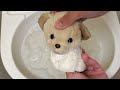 【洗濯】30年以上前の子犬の里親になった【ぬいぐるみ】