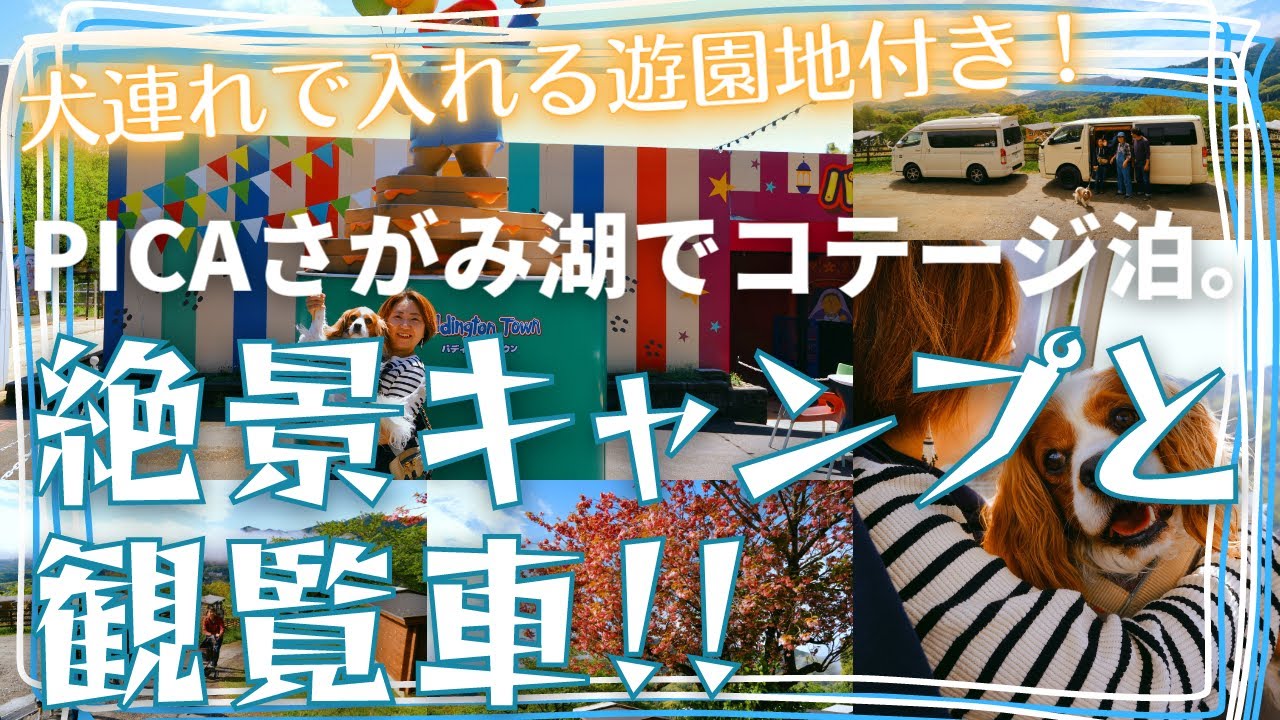 【絶景キャンプ】まるで別荘地のような絶景！PICAさがみ湖で、コテージキャンプと遊園地に行ってきた。 【犬とキャンピングカー/ハイエース】