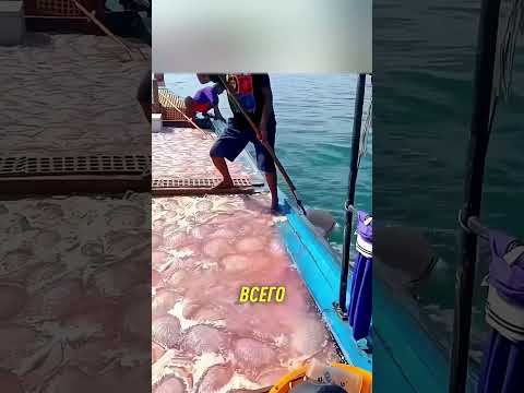 Смертельная угроза у ног 😱 #Shorts