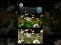 The Ultimate CapCut Color Grading Hack 🌿 (Before &amp; After)