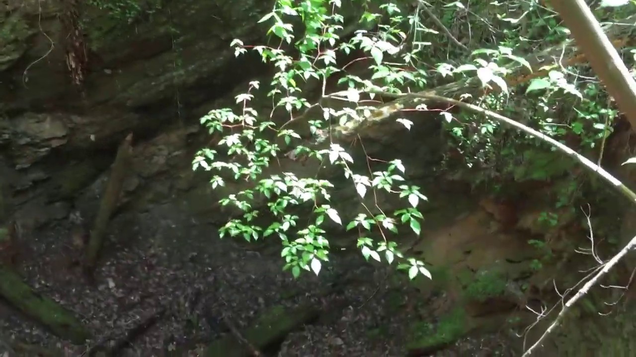 abandoned mines ontario #19 A huge collapsed mine in the middle of the woods in Dahlonega, Ga.