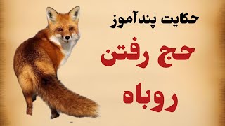 حکایت زیبا و پنداموز به حج رفتن روباه ⭐حکایت حاجی شدن ، حاج روباه مکار⭐حکایتی ازمثنوی  معنوی مولانا