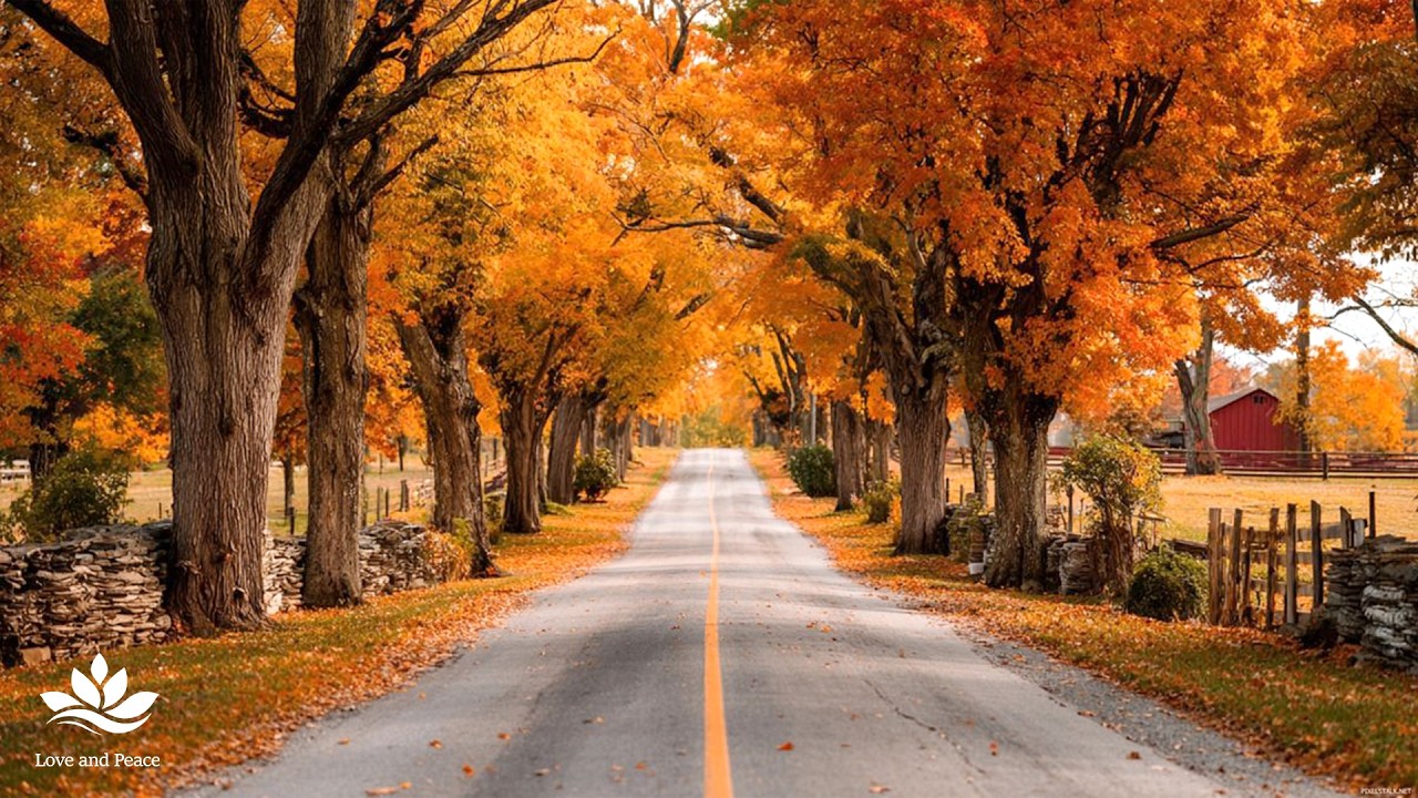 优美舒缓的音乐🍁疗愈心灵，缓解压力和焦虑，享受宁静