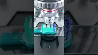 After 1 use… this grows on your toothbrush 😨  #toothbrush  #microscope #sciecne